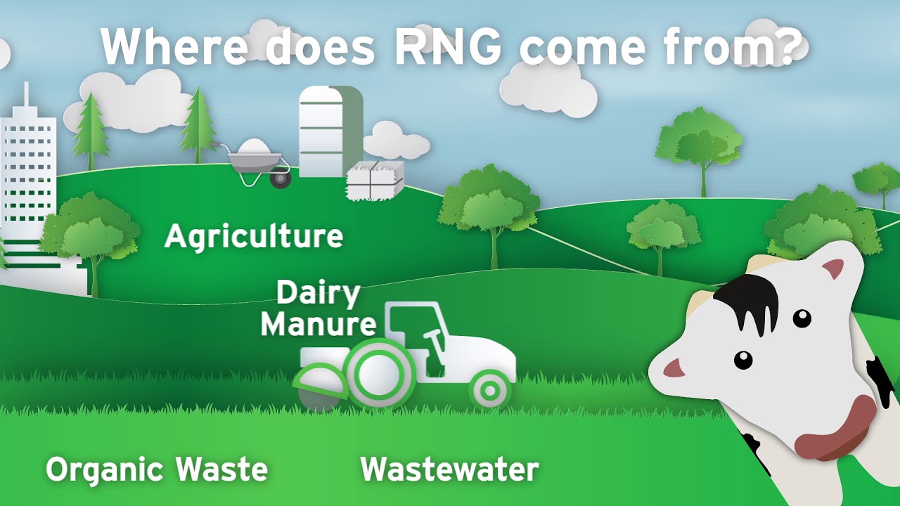 Renewable Natural Gas" is about as Real as "Clean Coal" - Lawyers, Guns &  Money